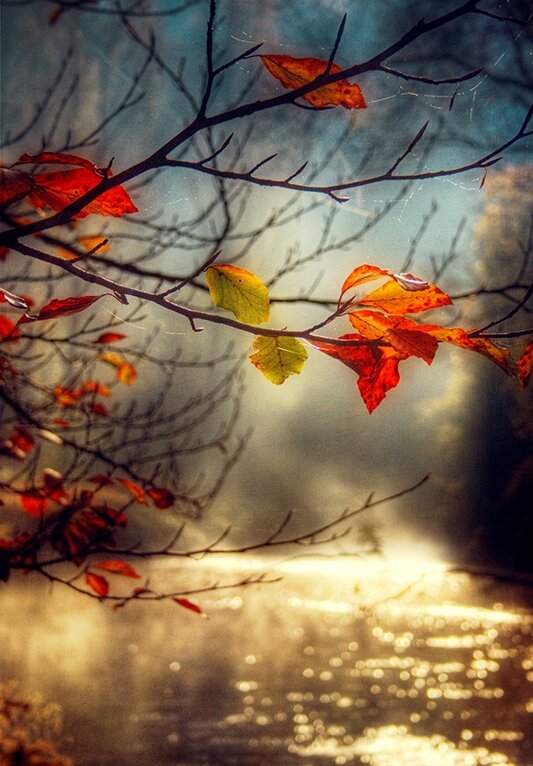 От минора до мажора...