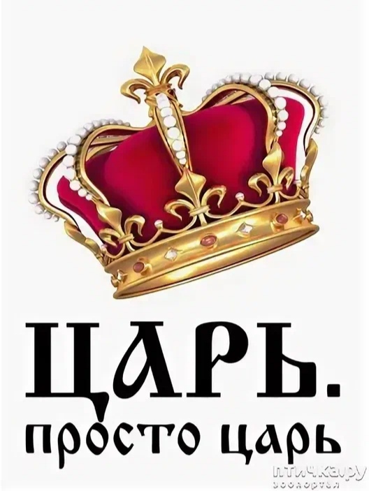 Картинка царь просто царь на прозрачном фоне