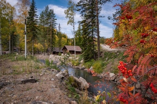 Осень в таёжном лесу