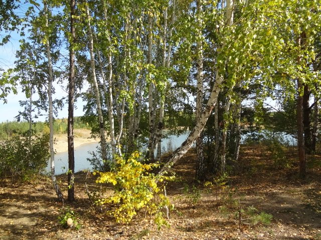 Краски осеннего ветра