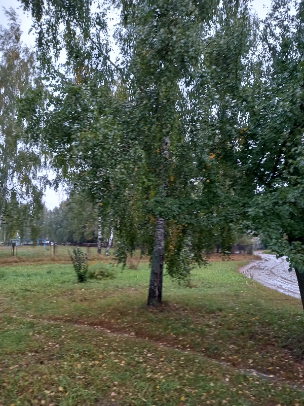 Падают листья