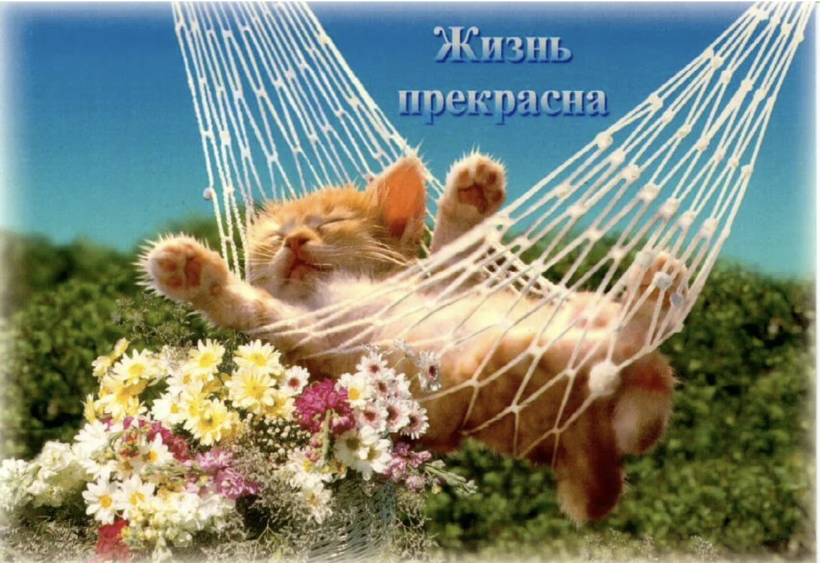 Жизнь прекрасна