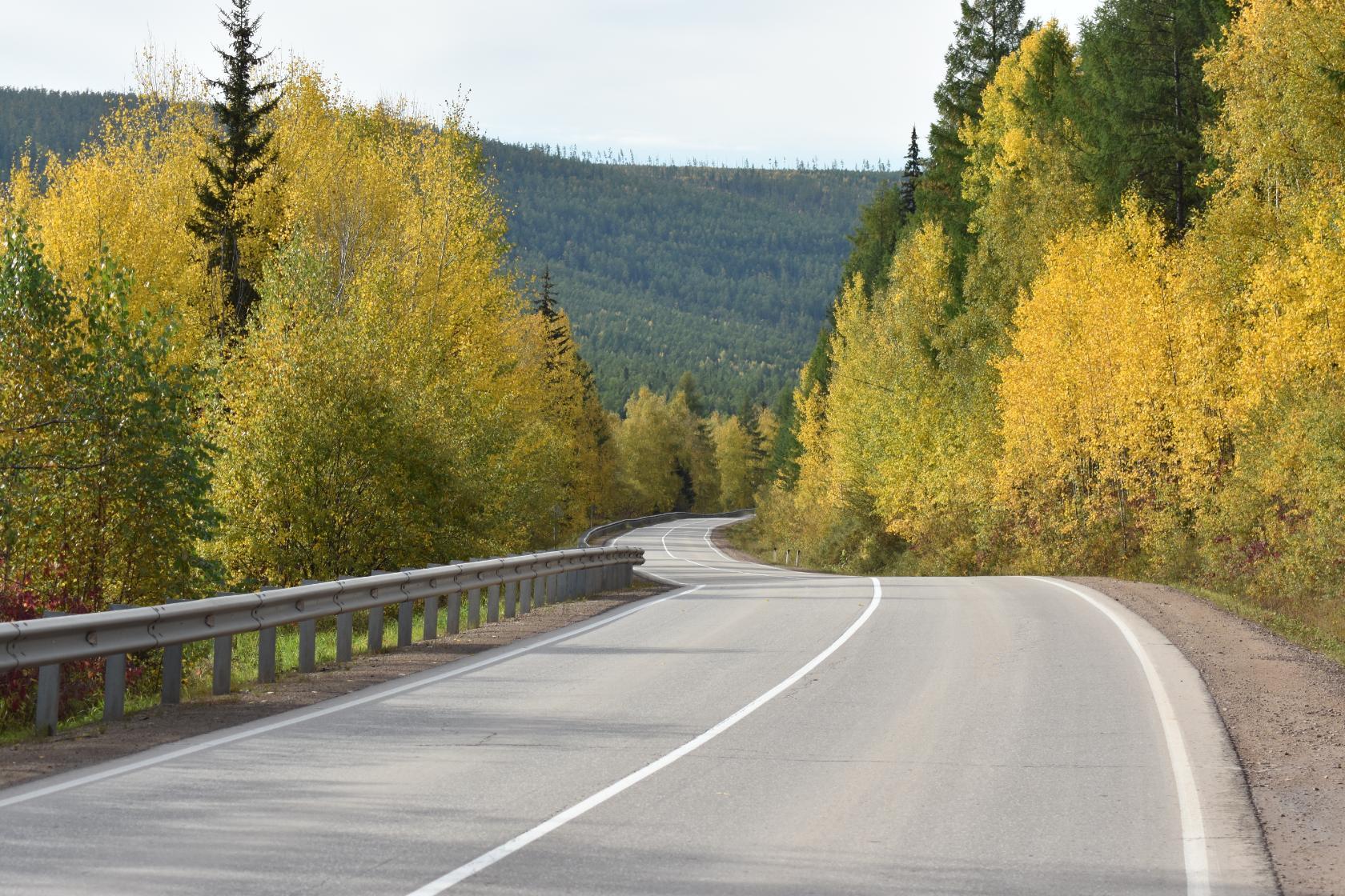 Прекрасная дорога