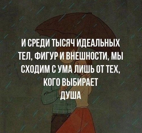 Четыре стороны