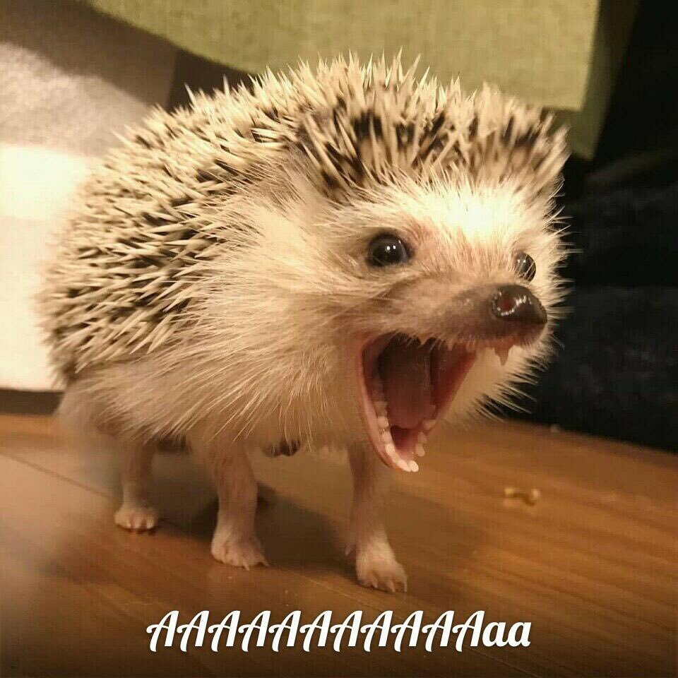 Три ответа - три привета 22