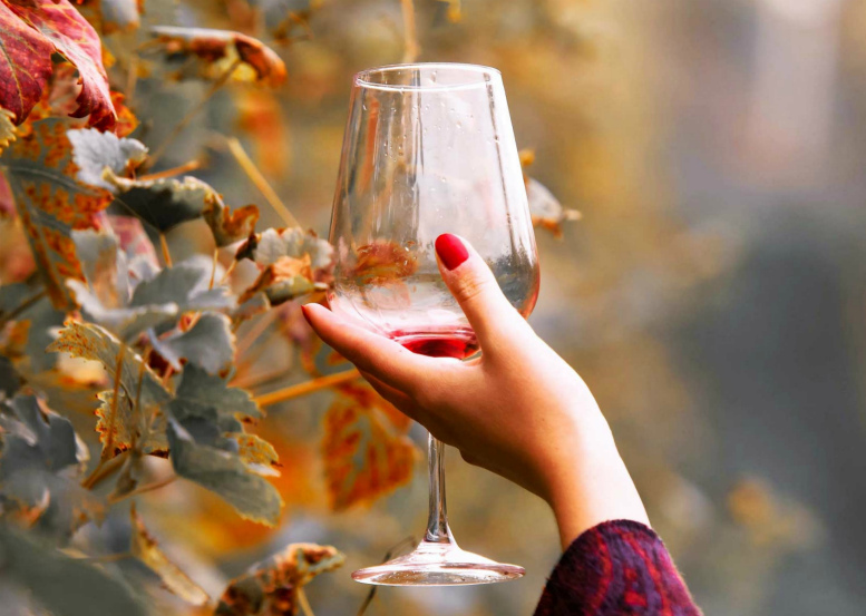 Мужчина с бокалом. Осень и вино в бокале. Женщина с вином. Рюмки для коньяка. Бокал вина осень.