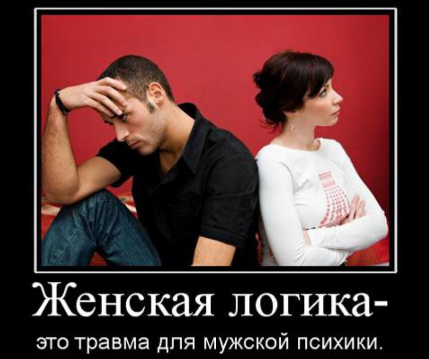 Книга Женская Логика С Пустыми Страницами Купить