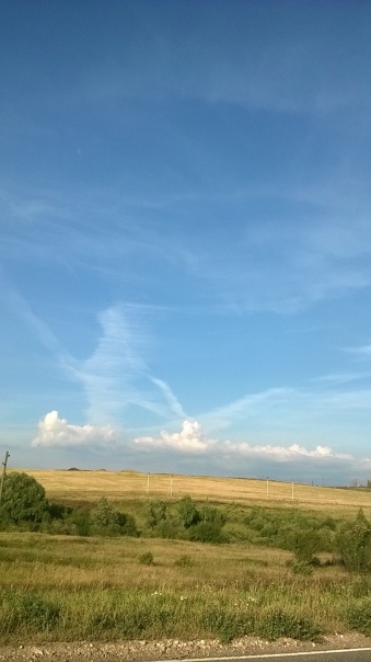 Когда любовь покорит