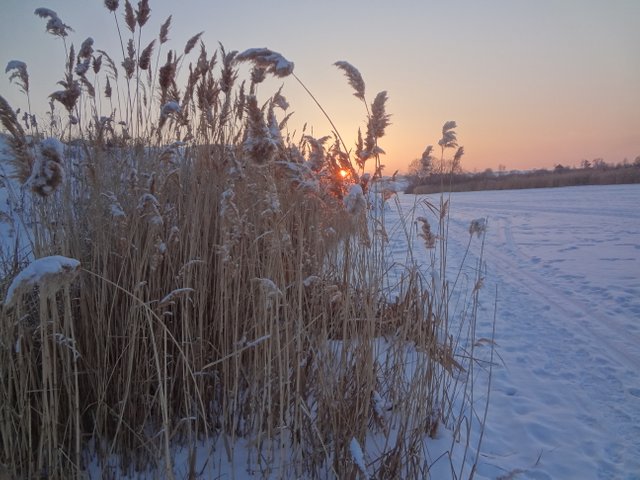 Перед закатом в тишине