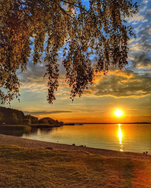 Новая осень