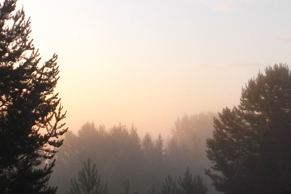 В изысканном плане...