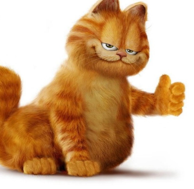 Утренний диалог с котом