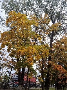 Осень