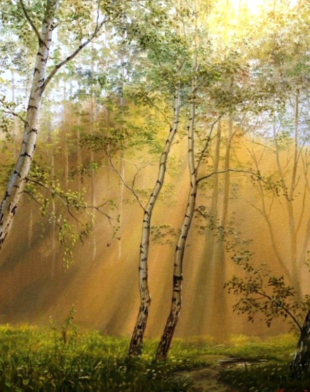 Лучи солнца