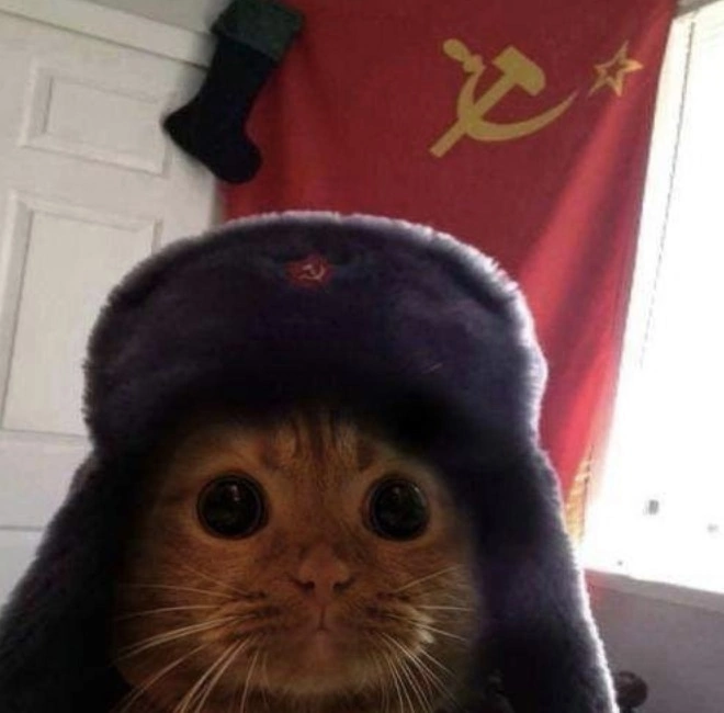 Мысли социал-демократов