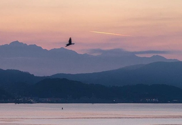 Я сыграю для тебя блюз утром