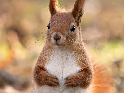 Снова в Белые Ключи