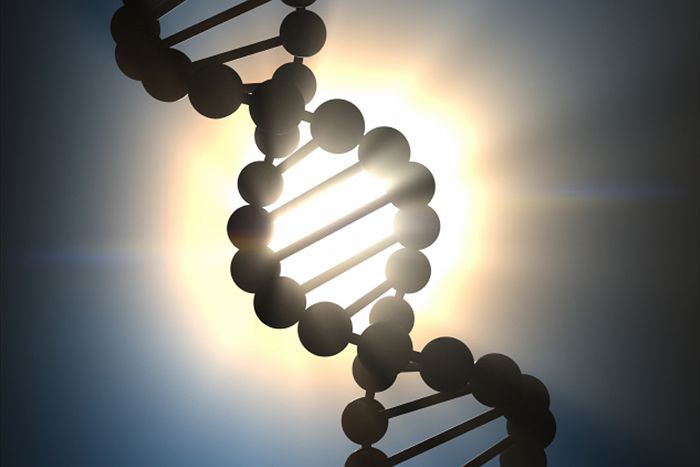 Закон Небес сильнее, чем геном