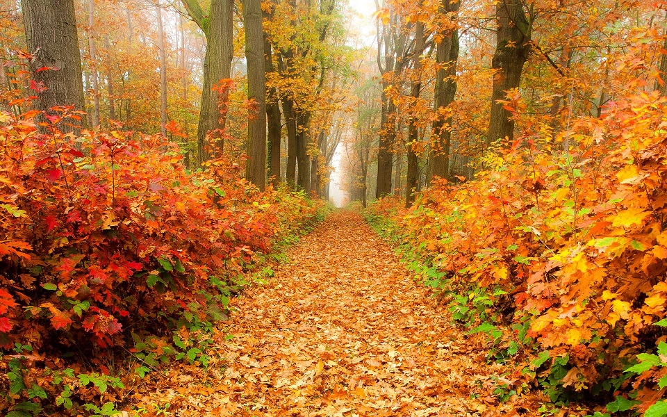 https://stihi.ru/pics/2022/09/19/4856.jpg