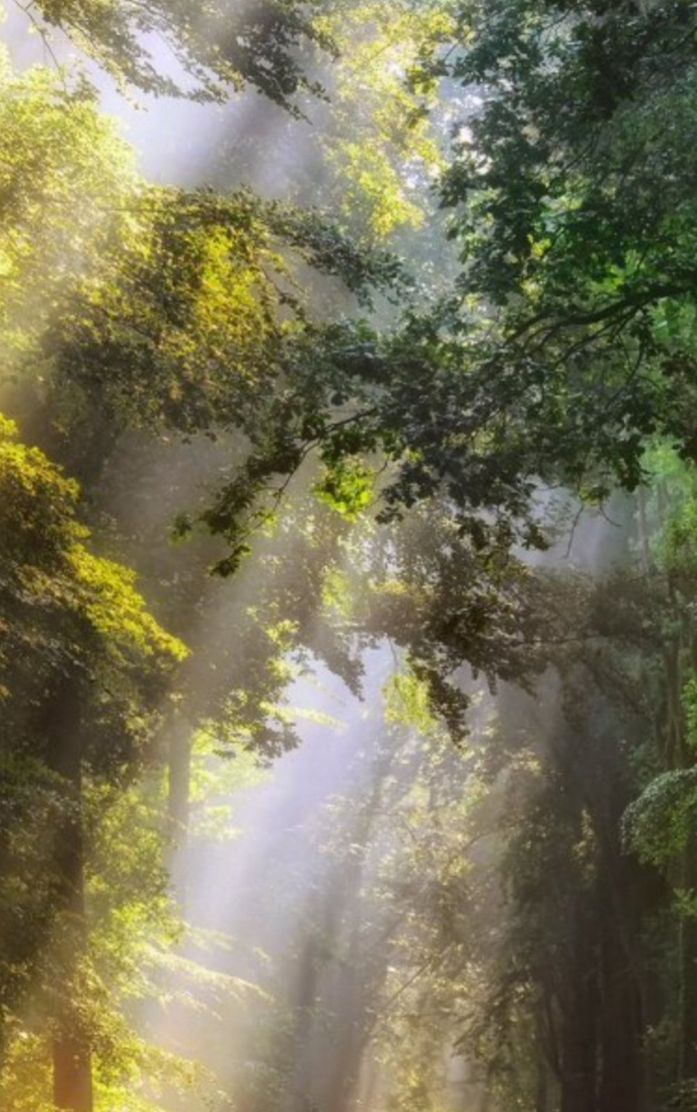 Ловлю мгновенье..