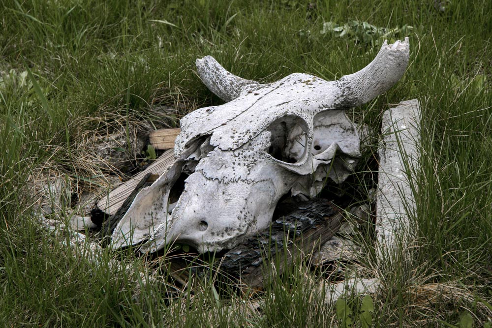 Эра одержимых