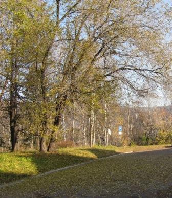 О неизбежном