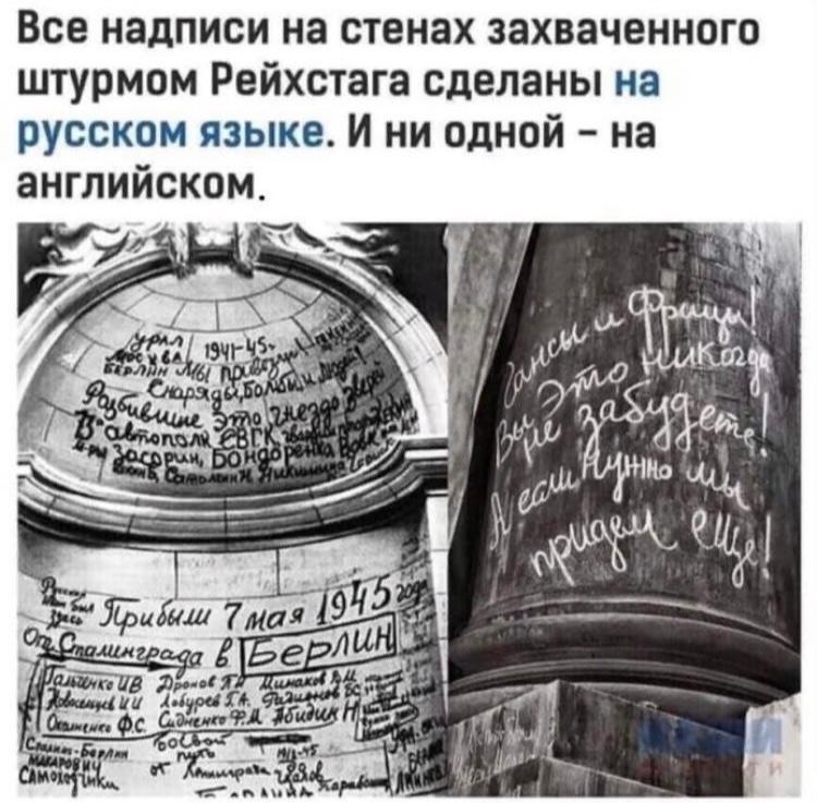 Навязли