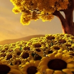 Среди подсолнухов лежала осень