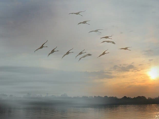 Пока мечтаешь - жить Поэзии