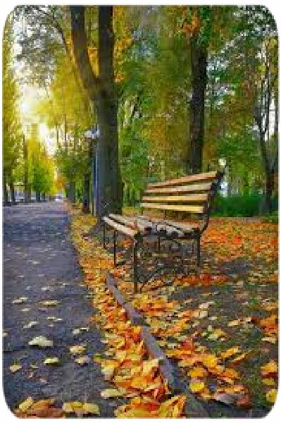 И шептала скамейка тоскливо...