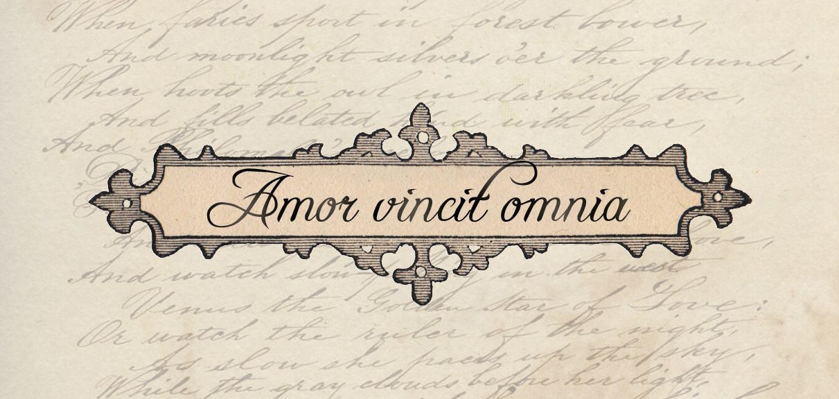 перевод смотреть. Amor vincit omnia тату. Amor omnia vincit тату шрифт.