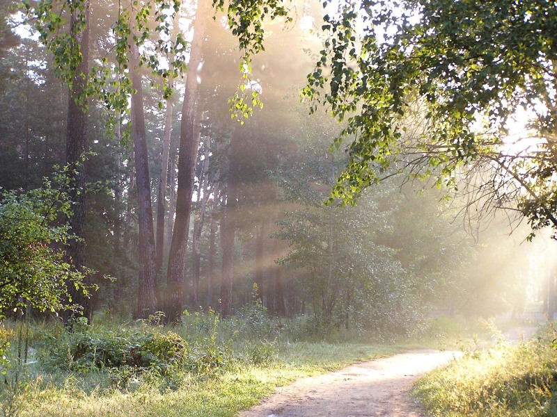 Картинки с добрым утром деревенский пейзаж с надписью