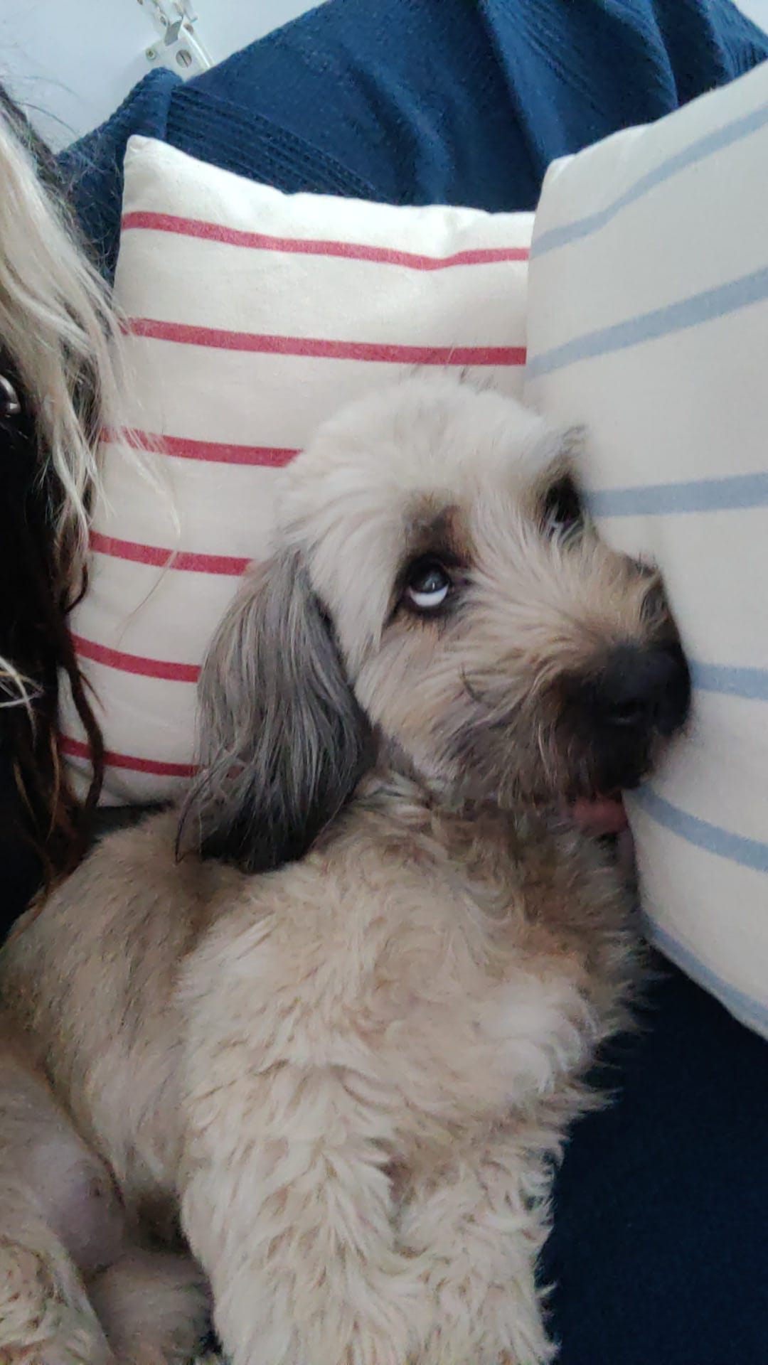 Это - Я. Шанти! Живя в гармонии. Стих 6 (Мила Лобачёва) / Стихи.ру