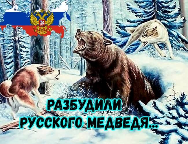 Стихи не будите русского медведя читает михайлов. Русский медведь. Разбудили медведя. Разбудили российского медведя. Русский медведь проснулся.