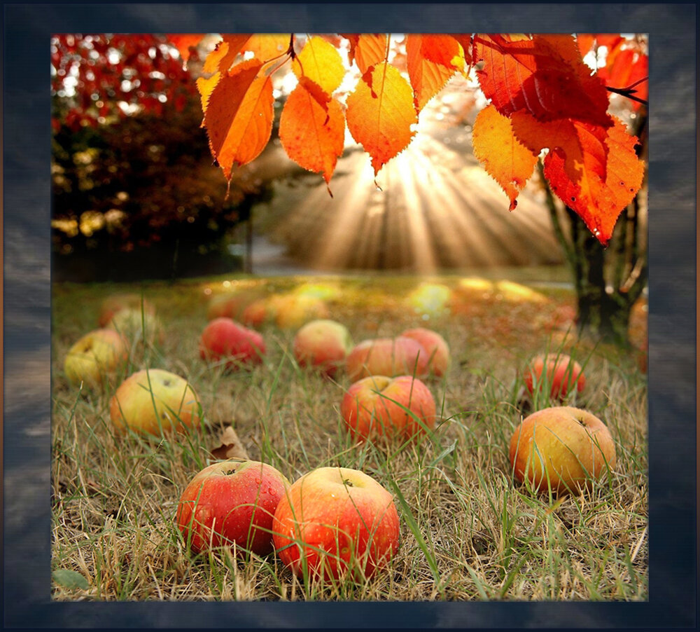 В саду моём... (Адриана 2) / Стихи.ру