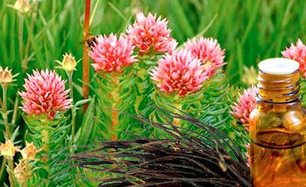 Бог нам вдоволь всё дает!