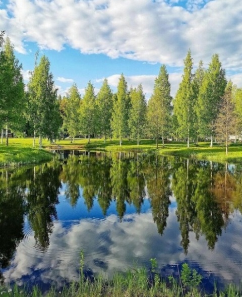 Зеркальное отражение (Валентина Демешко) / Стихи.ру