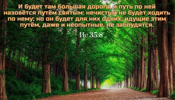 Большая Дорога