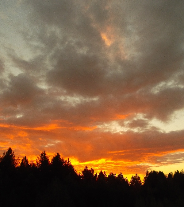 В утешительном времени, Мироустройства...