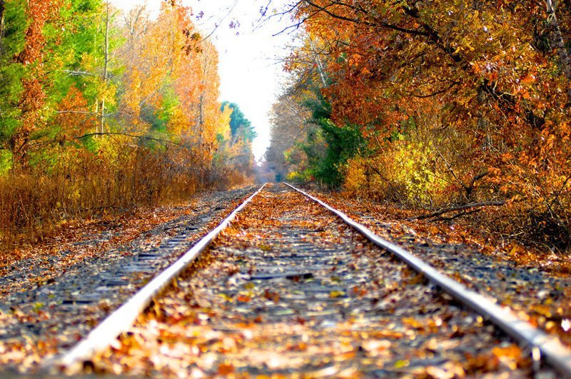 Уходящая железная дорога. Осень рельсы. Рельсы уходящие вдаль. Рельсы пейзаж. Осенняя дорога, уходящая вдаль.