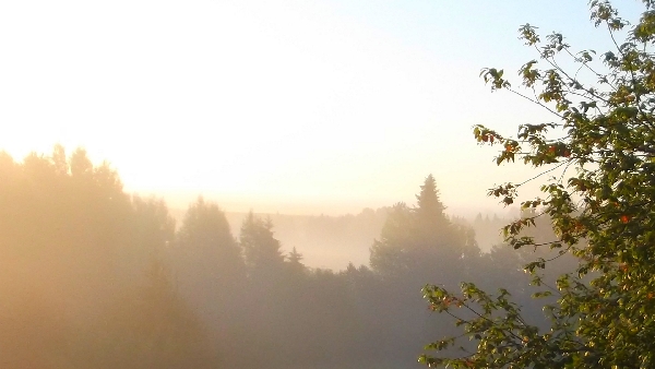 В явлении благостном, благоприятном...