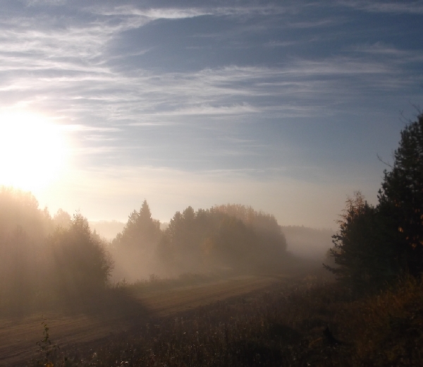 При должном участии, дел на рассвете...