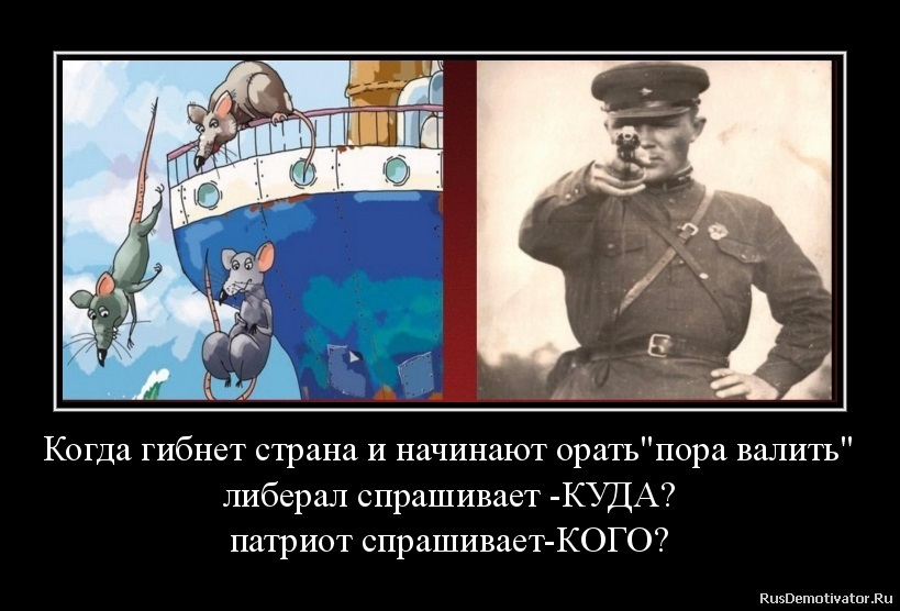 Что пора то историю эту. Что пора то историю эту