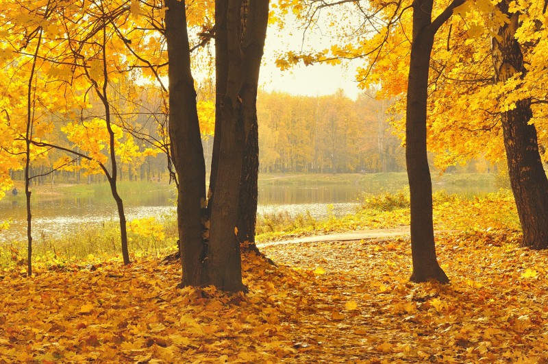 Осень силу набирает