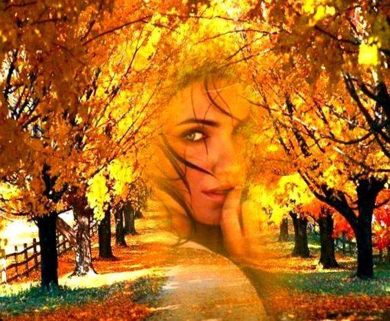 Три ответа - три привета 24