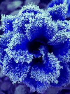 Так мало надо...