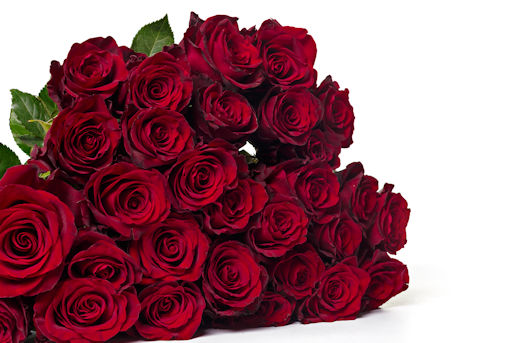 Сонет 16. За розы алые