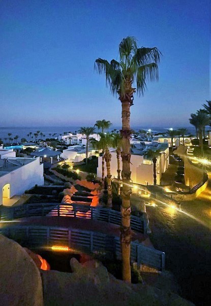 У Красного моря