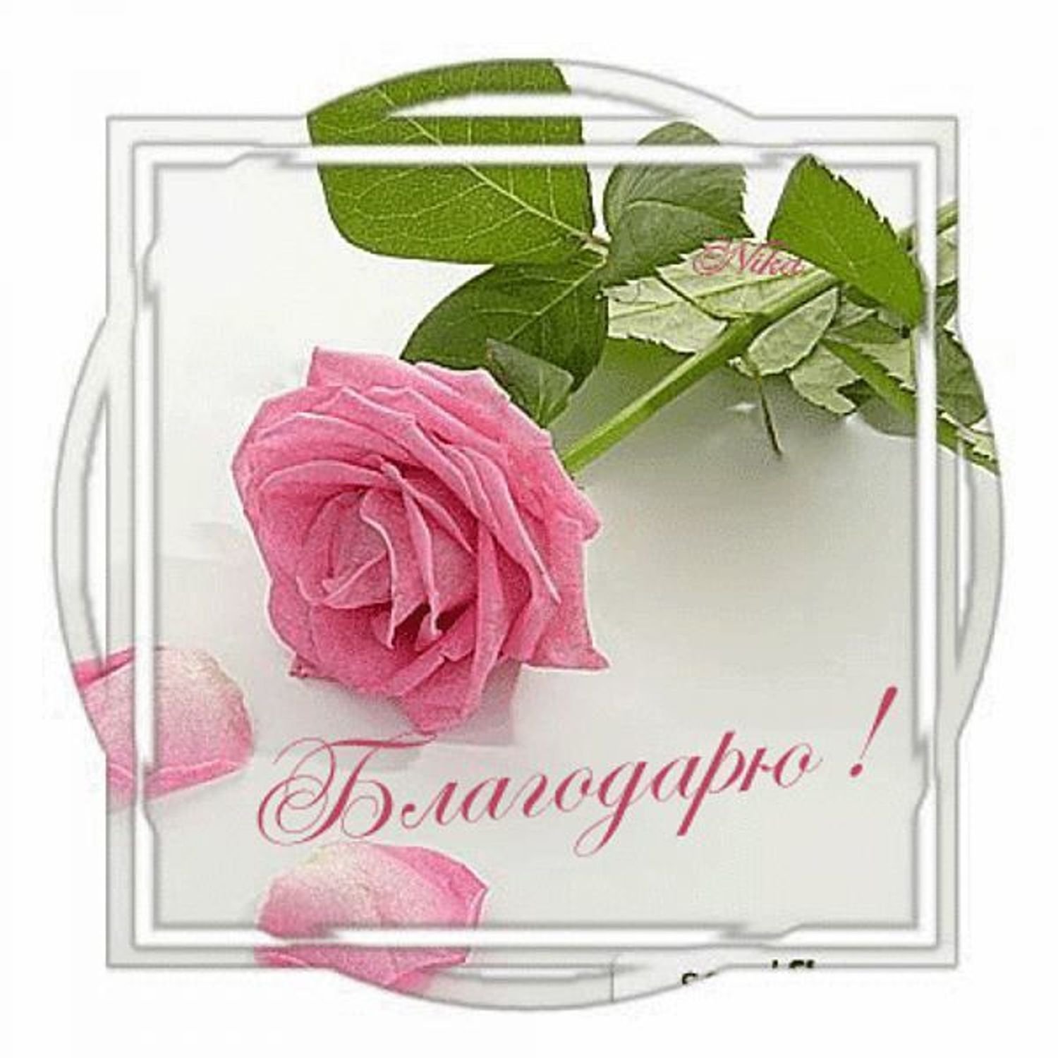 Искренне благодарю