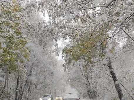 Ну, вот дождались, снег с дождём...